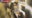 Grand Central subway stabbing leaves 2 injured, suspect at large l Exclusive video