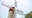 Long Island community comes together to save historic windmill