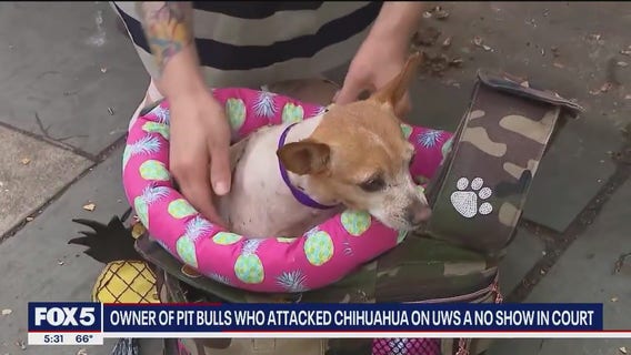Owner of pit bulls that mauled Penny the chihuahua skips court again