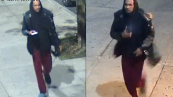 NYC spider molester: Man using bug as excuse to inappropriately touch women, police say