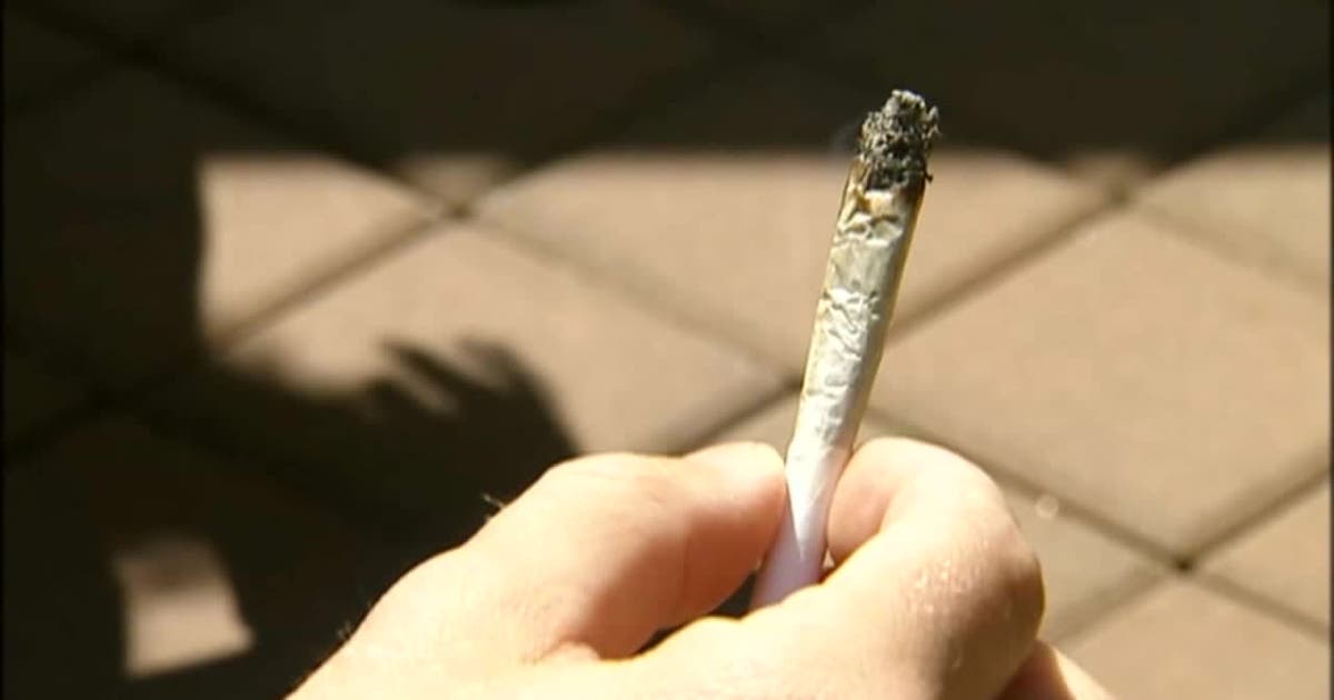 ls5a-weed-sections-of-the-