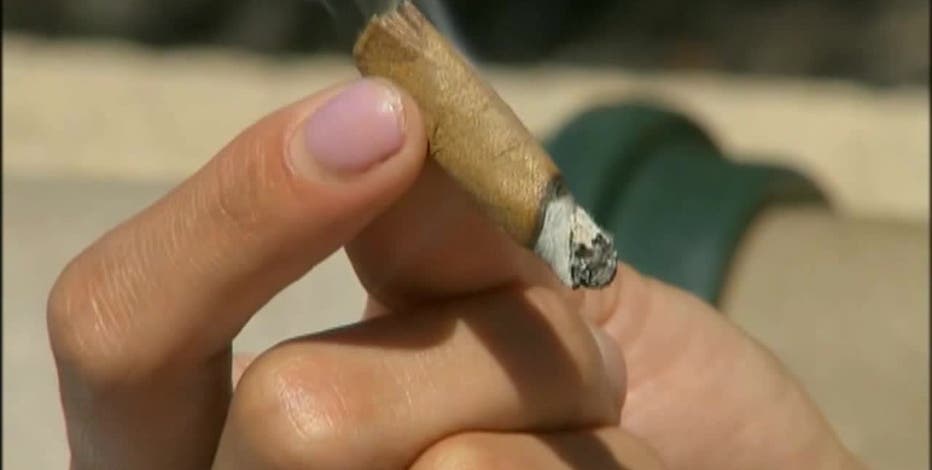 ls5a-weed-sections-of-the-