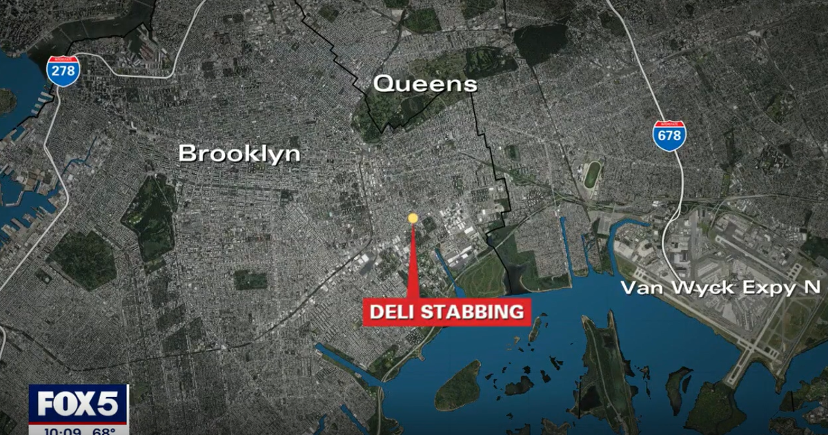 Man stabbed to death inside Brooklyn deli; suspect on the run | FOX 29 ...