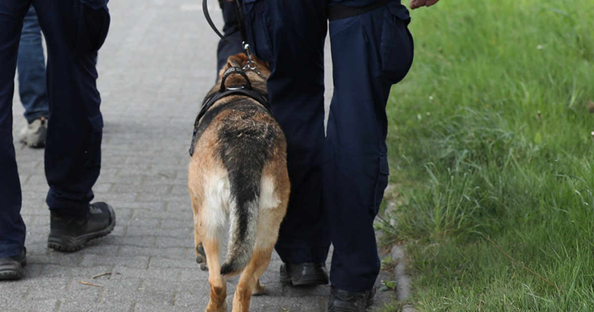 Suffolk County police K-9 bit someone at funeral for fallen NYPD ...