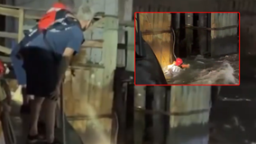 FDNY rescues person trapped in strong currents near Roosevelt Island Bridge | WATCH