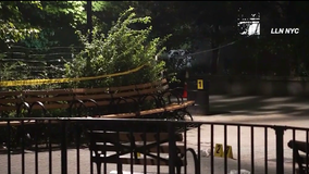 14-year-old dies after double stabbing at playground in the Bronx