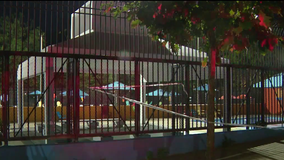 Deadly quadruple shooting erupts during basketball tournament at Bronx park