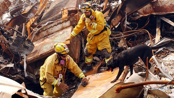 9/11 victims: 3 more people identified decades after attack