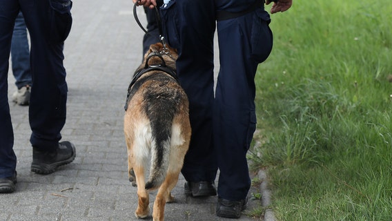 Suffolk police K-9 bit individual at funeral for NYPD Det. Islam