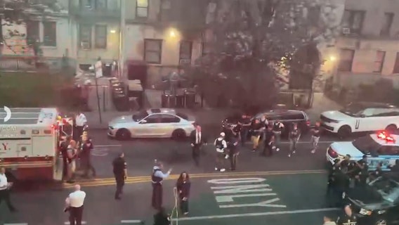 Police shoot armed man in Brooklyn: officials