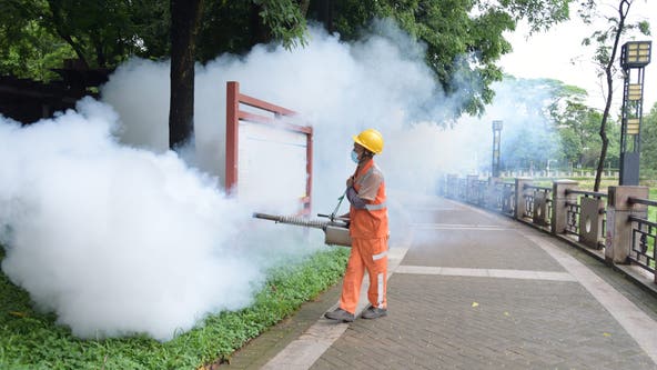 What is Chikungunya virus? Symptoms, prevention and what to know
