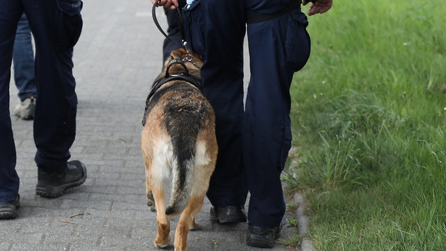 Suffolk police K-9 bit individual at funeral for NYPD Det. Islam