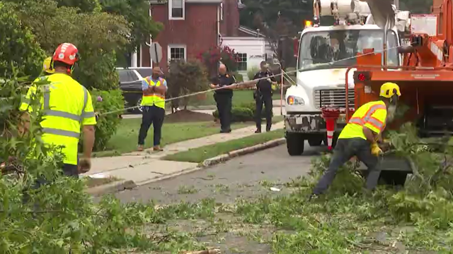 Large tree falls onto Tesla in Teaneck, trapping passengers and injuring 3