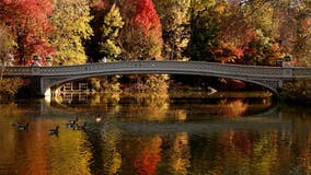 Central Park fall foliage: Map, photo spots, tracker