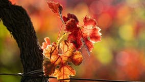 Fall is here: What does that mean? When do we change the clocks?