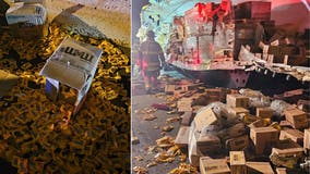 M&Ms spill across NJ highway after tractor trailers tear open in crash