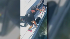 Catamaran fled after crashing into party boat in East River, injuring 11 people: police