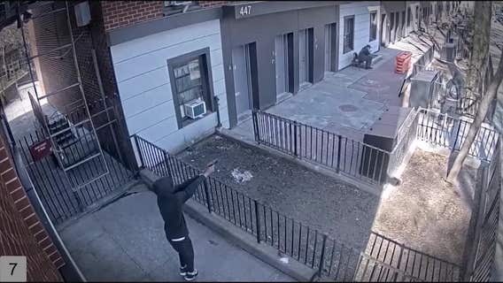 Gang membership in New York City hits all-time high, with recruits getting younger