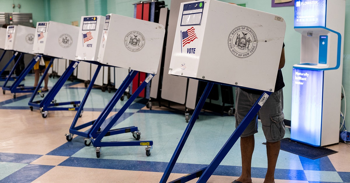 Can you still trust the polls in 2025? Even the experts say – it’s complicated