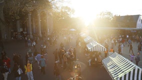 Oct. 26 NYC election update: Early voting continues; mayor polls, candidate news