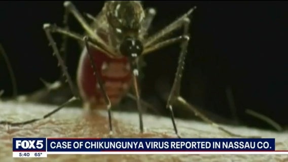 What is the chikungunya virus? First locally acquired case confirmed in New York State