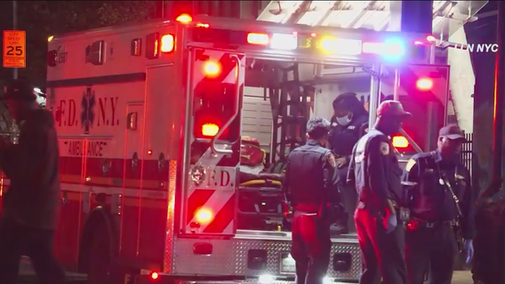 Two teens killed in apparent subway surfing incident in Brooklyn: police