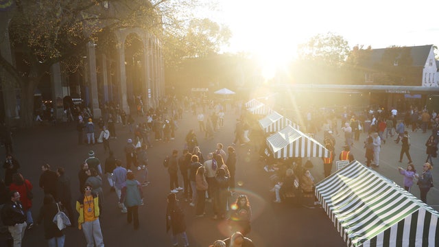 Oct. 26 NYC election update: Early voting continues; mayor polls, candidate news