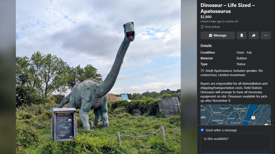 A Facebook Marketplace listing for a model of a Apatosaurus.