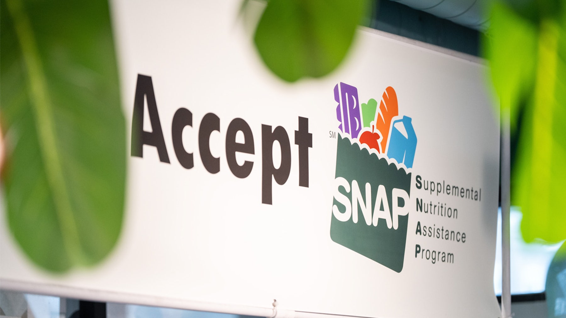 2026 Pennsylvania, NJ, Delaware SNAP benefit amounts: Here’s how much families can receive