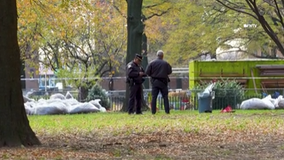 Baby found dead in bag behind Brooklyn home, police say