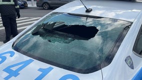 Person of interest arrested in connection to vandalized NYPD vehicles