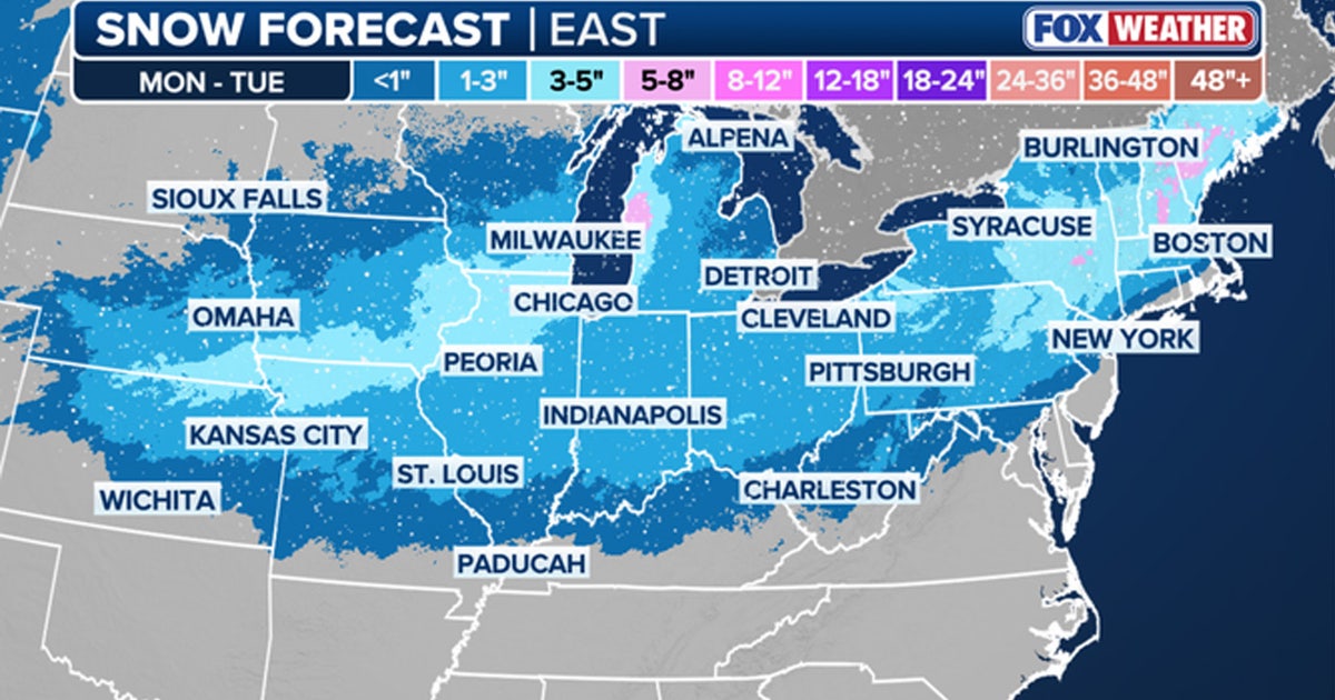 Here's how much snow parts of NY, NJ can expect: Updated totals ...