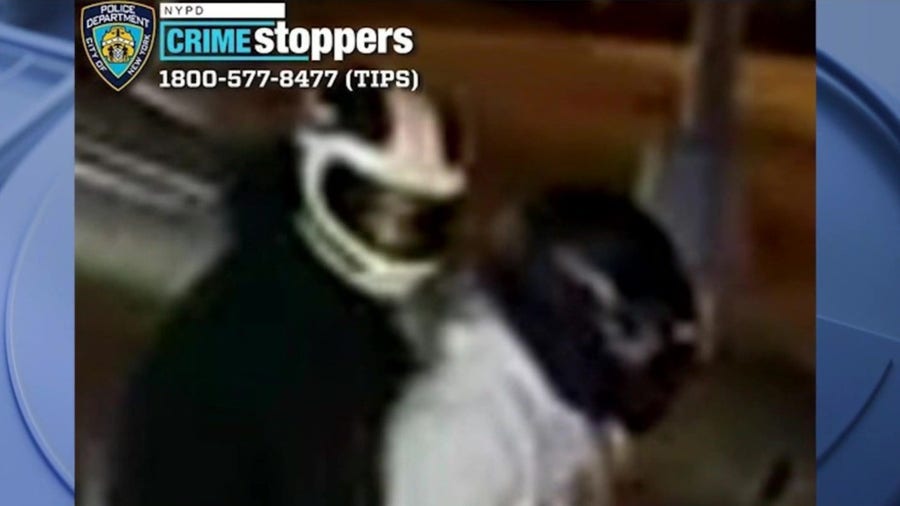 Moped-riding thieves wanted for at least 8 robberies across NYC: police