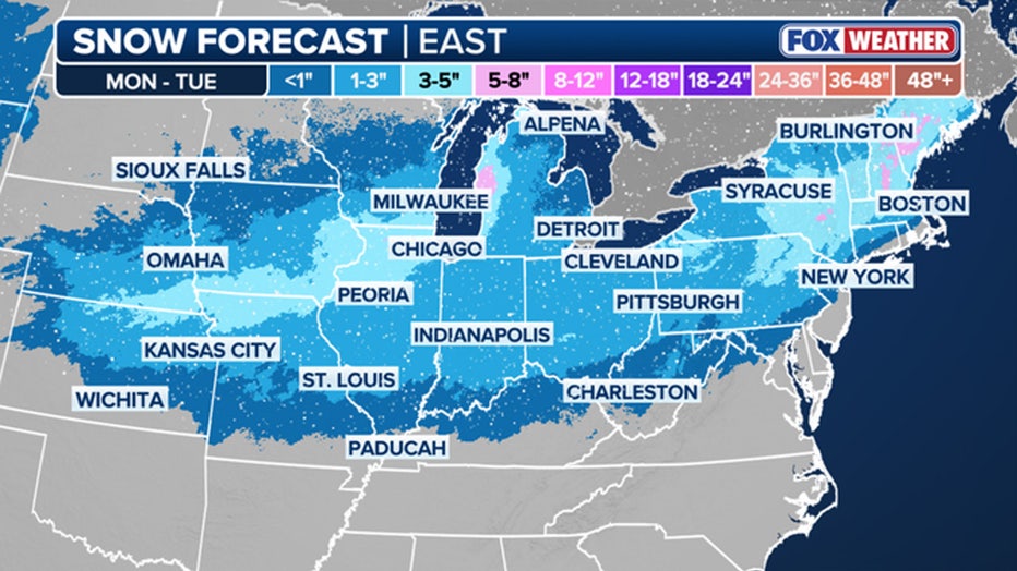Snow forecast projection for the East (FOX Weather)