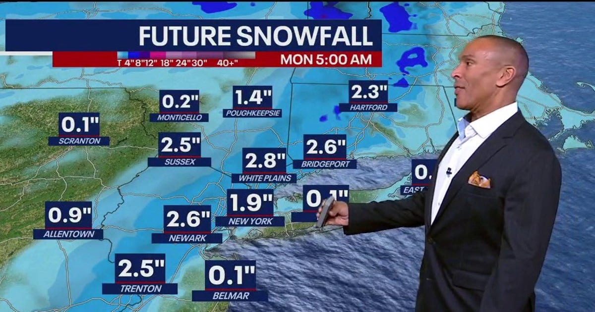 NYC weather: Weekend snowfall, up to 2 inches possible | FOX 5 New York