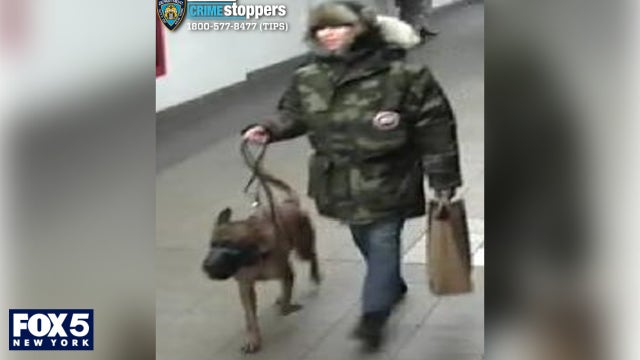 Man allegedly ordered his dog to bite 54-year-old in subway station, NYPD report