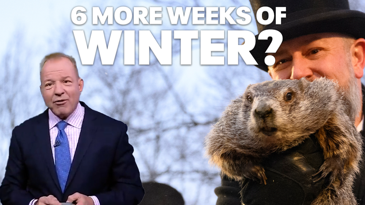 NYC mid-winter weather forecast: Were the groundhogs' predictions correct?