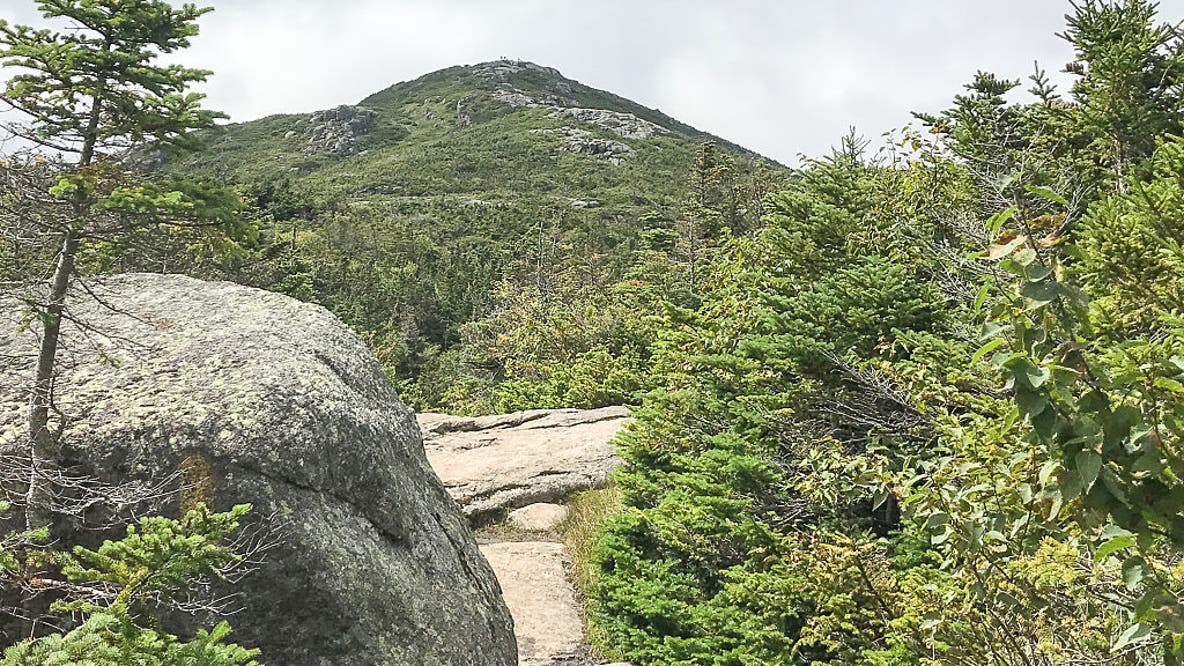 NJ hiker freezes to death climbing New York's tallest mountain with dog