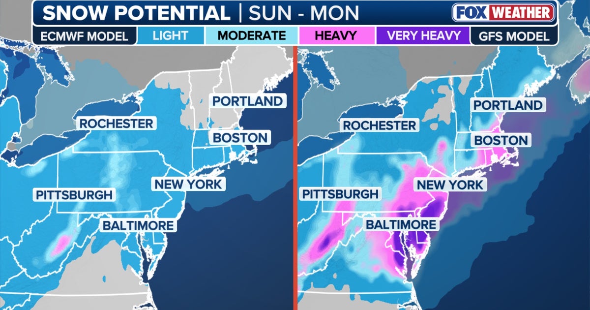Nor'easter or nothing: Explaining the scenarios for potential major weekend NYC snowstorm