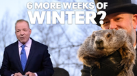 NYC mid-winter weather forecast: Were the groundhogs' predictions correct?