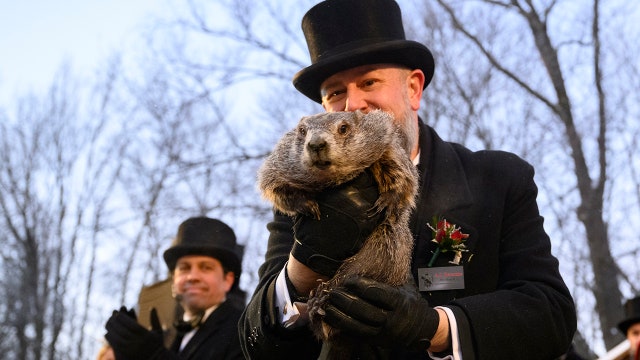 Groundhog Day 2026: Punxsutawney Phil sees shadow, signaling six more weeks of winter