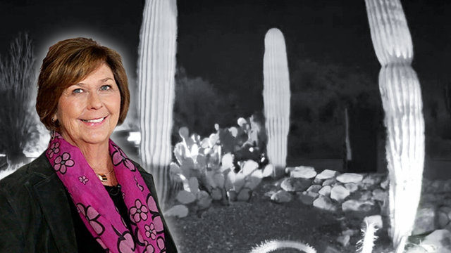 New Ring video could provide lead in Nancy Guthrie disappearance