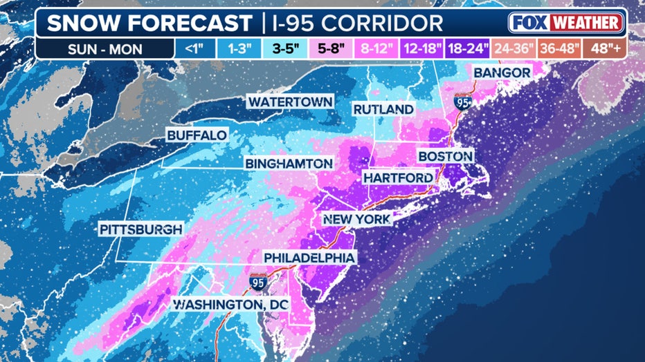 Nor'easter snow potential(FOX Weather)