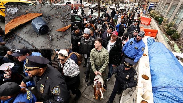 Improvised explosive device thrown into crowd during Gracie Mansion protests: NYPD