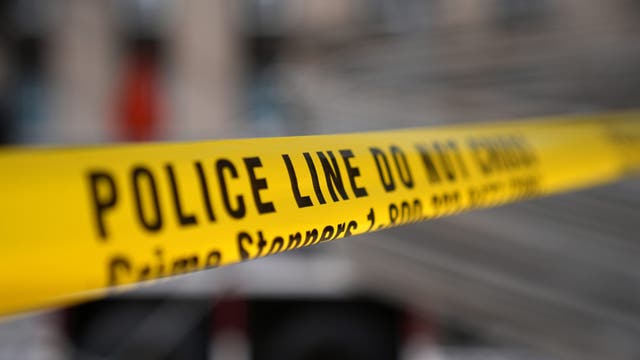 24-year-old woman slashed in Central Park, NYPD say