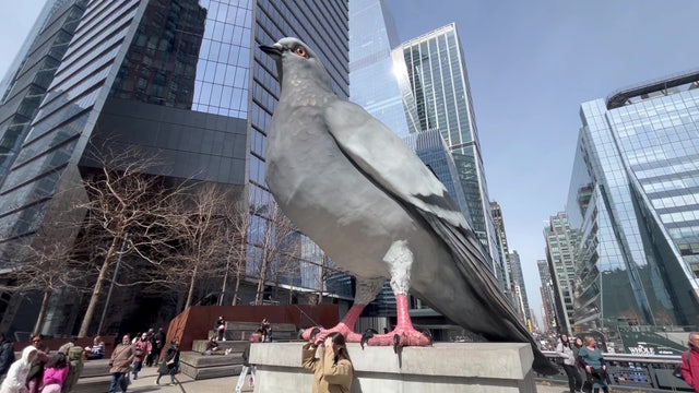 NYC says goodbye to Dinosaur, the High Line's 17-foot-tall pigeon statue