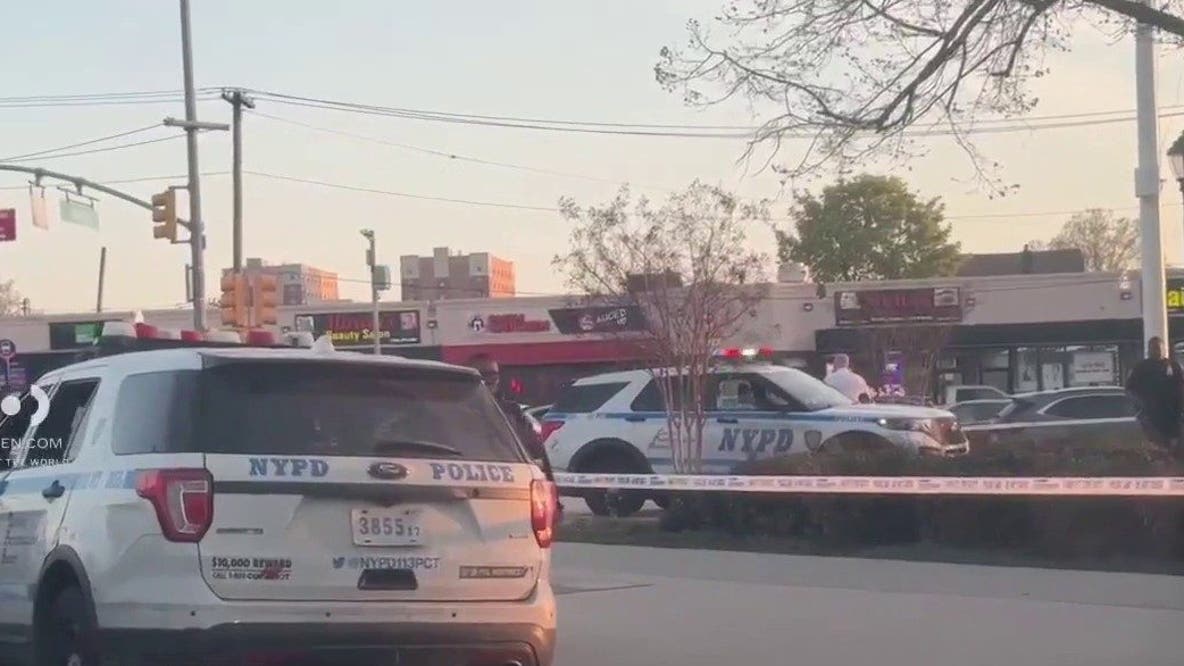 DA: 15-year-old killed at Roy Wilkins Park after gang assault; teenager charged in shooting