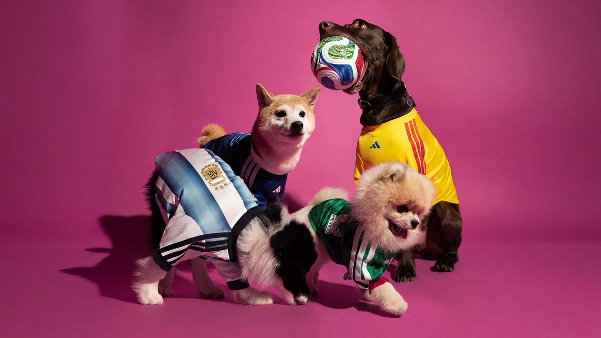 Adidas unveils World Cup 2026 jerseys for pets, matching national team kits