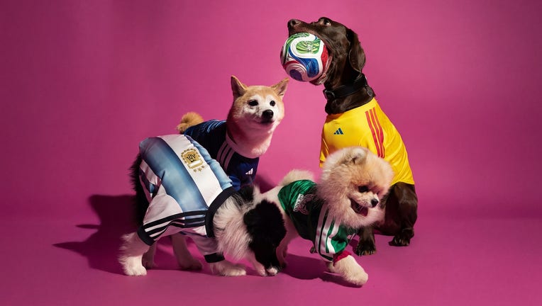 Adidas unveils World Cup 2026 jerseys for dogs, pets | FOX 5 New York