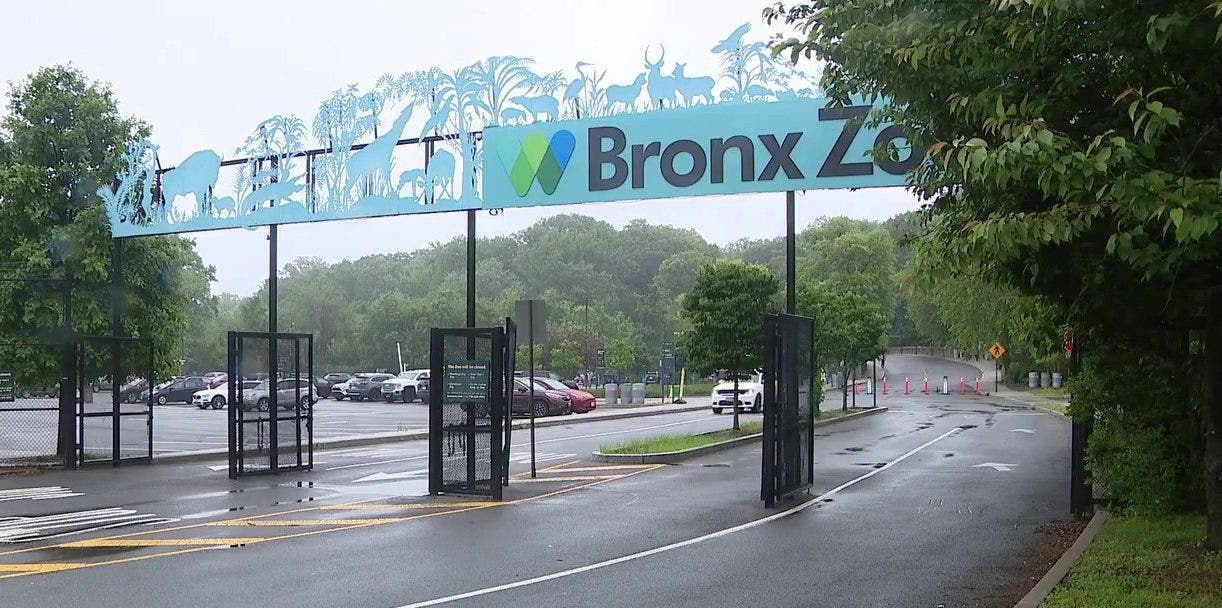 Crocodile bites zookeeper at Bronx Zoo